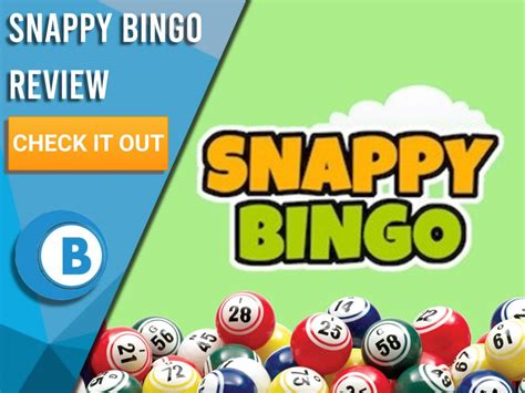 Snappy bingo casino review